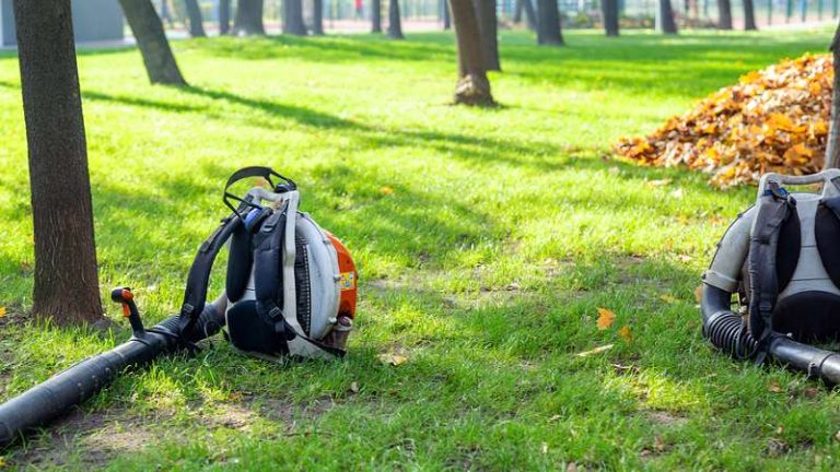 The Fall Is A Great Time To Give Your Lawn Some Attention